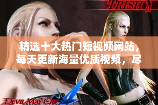 精选十大热门短视频网站，每天更新海量优质视频，尽享视觉盛宴！
