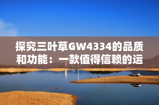 探究三叶草GW4334的品质和功能：一款值得信赖的运动鞋