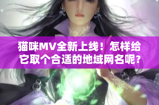 猫咪MV全新上线！怎样给它取个合适的地域网名呢？