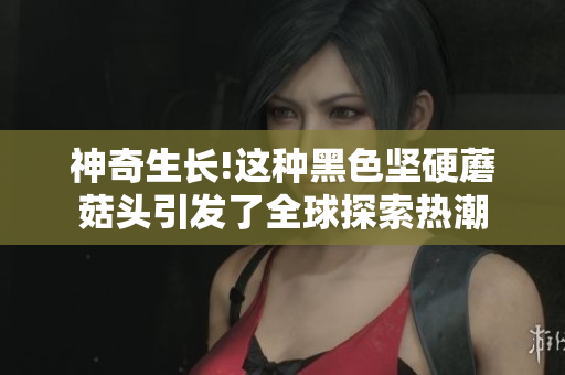 神奇生长!这种黑色坚硬蘑菇头引发了全球探索热潮
