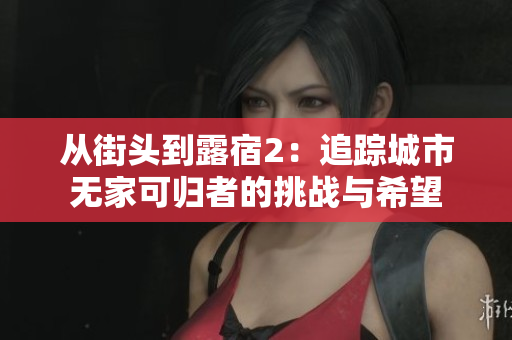 从街头到露宿2：追踪城市无家可归者的挑战与希望