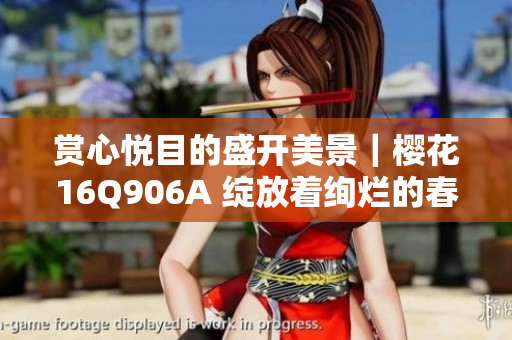赏心悦目的盛开美景｜樱花16Q906A 绽放着绚烂的春日芬芳