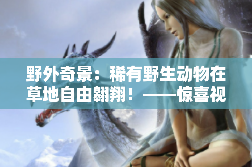野外奇景：稀有野生动物在草地自由翱翔！——惊喜视频分享