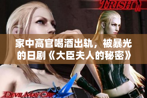 家中高官喝酒出轨，被暴光的日剧《大臣夫人的秘密》