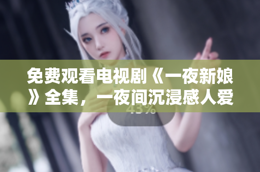 免费观看电视剧《一夜新娘》全集，一夜间沉浸感人爱情故事