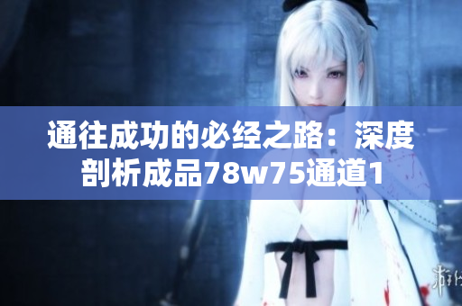 通往成功的必经之路：深度剖析成品78w75通道1