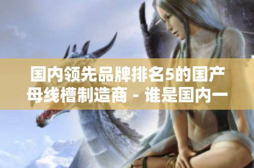 国内领先品牌排名5的国产母线槽制造商 - 谁是国内一线品牌？