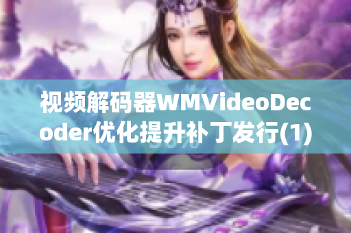 视频解码器WMVideoDecoder优化提升补丁发行(1)