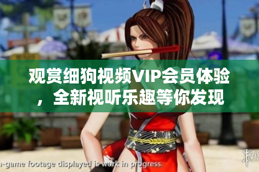 观赏细狗视频VIP会员体验，全新视听乐趣等你发现