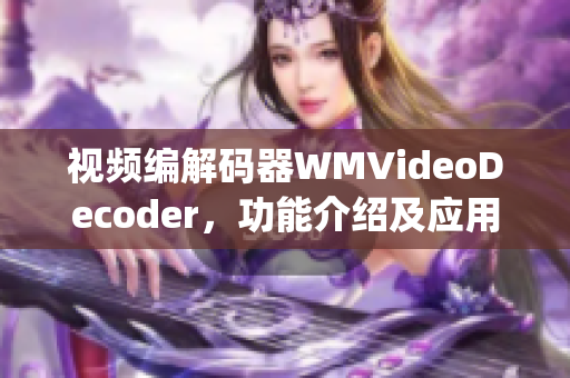 视频编解码器WMVideoDecoder，功能介绍及应用场景(1)