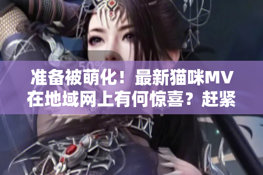 准备被萌化！最新猫咪MV在地域网上有何惊喜？赶紧看看这个网名！
