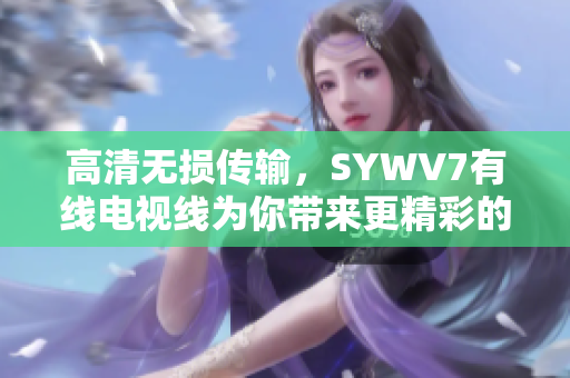 高清无损传输，SYWV7有线电视线为你带来更精彩的视觉享受