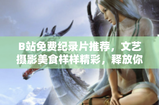 B站免费纪录片推荐，文艺摄影美食样样精彩，释放你的好奇心！