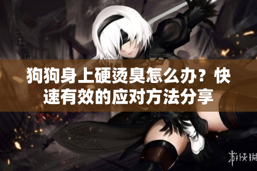 狗狗身上硬烫臭怎么办？快速有效的应对方法分享