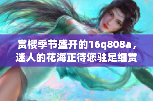 赏樱季节盛开的16q808a，迷人的花海正待您驻足细赏(1)