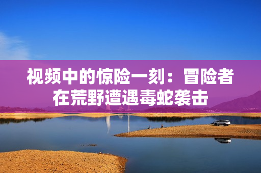 视频中的惊险一刻：冒险者在荒野遭遇毒蛇袭击