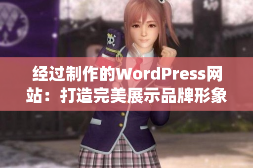 经过制作的WordPress网站：打造完美展示品牌形象的精美网页(1)