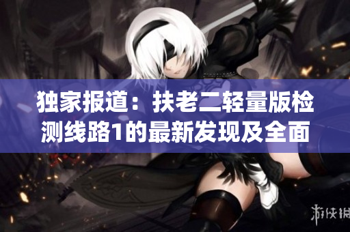 独家报道：扶老二轻量版检测线路1的最新发现及全面分析(1)