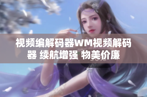 视频编解码器WM视频解码器 续航增强 物美价廉
