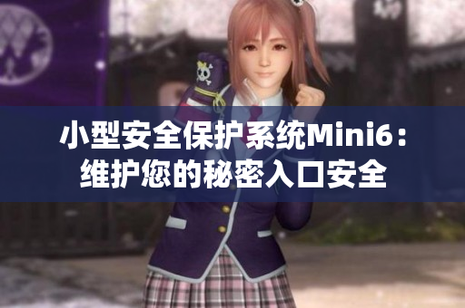 小型安全保护系统Mini6：维护您的秘密入口安全