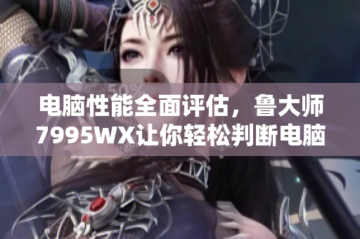电脑性能全面评估，鲁大师7995WX让你轻松判断电脑配置