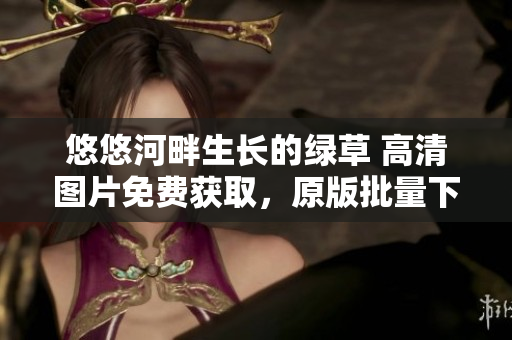 悠悠河畔生长的绿草 高清图片免费获取，原版批量下载