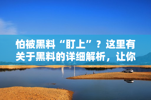 怕被黑料“盯上”？这里有关于黑料的详细解析，让你轻松远离烦恼！