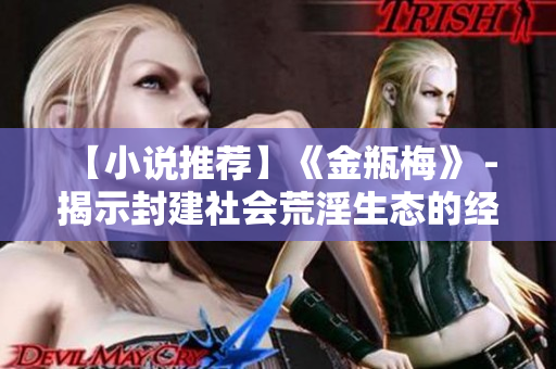 【小说推荐】《金瓶梅》 - 揭示封建社会荒淫生态的经典小说