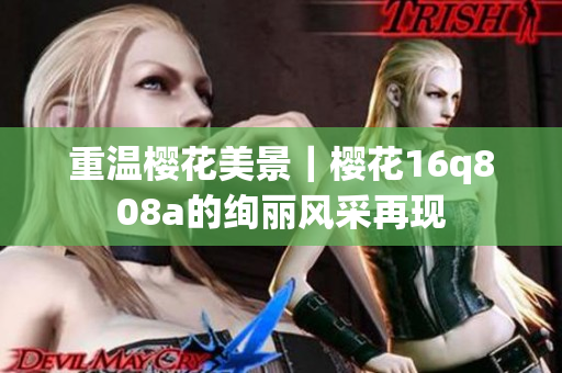 重温樱花美景｜樱花16q808a的绚丽风采再现