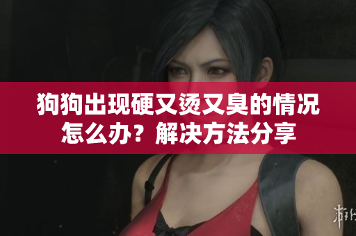 狗狗出现硬又烫又臭的情况怎么办？解决方法分享