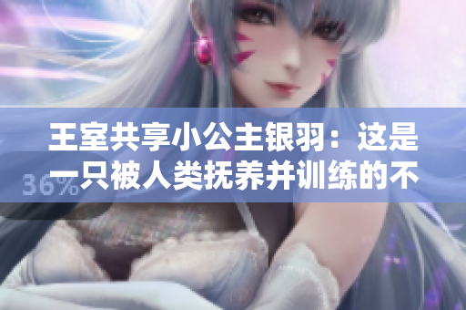 王室共享小公主银羽：这是一只被人类抚养并训练的不寻常的孔雀！