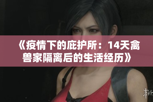 《疫情下的庇护所：14天禽兽家隔离后的生活经历》