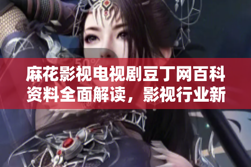 麻花影视电视剧豆丁网百科资料全面解读，影视行业新动态揭秘