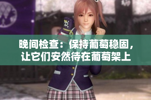 晚间检查：保持葡萄稳固，让它们安然待在葡萄架上