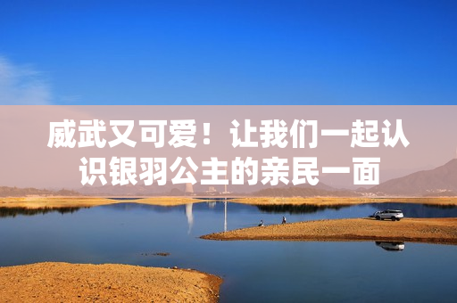 威武又可爱！让我们一起认识银羽公主的亲民一面