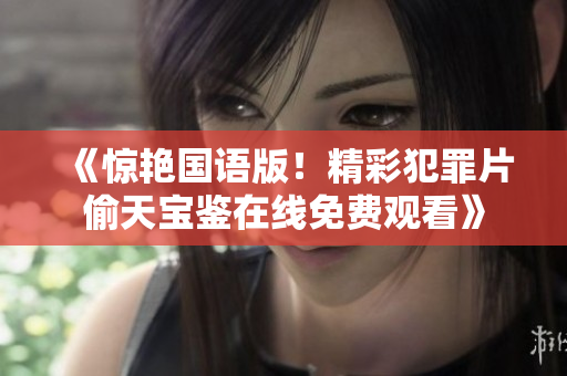 《惊艳国语版！精彩犯罪片偷天宝鉴在线免费观看》