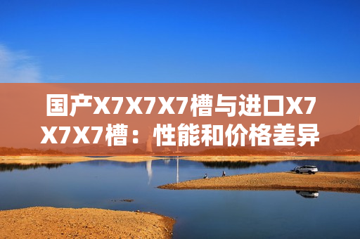国产X7X7X7槽与进口X7X7X7槽：性能和价格差异细节比对