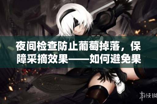 夜间检查防止葡萄掉落，保障采摘效果——如何避免果实损失？