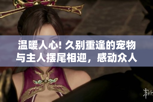 温暖人心! 久别重逢的宠物与主人摆尾相迎，感动众人落泪