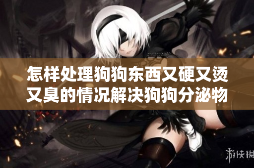 怎样处理狗狗东西又硬又烫又臭的情况解决狗狗分泌物难题