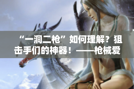 “一洞二枪”如何理解？狙击手们的神器！——枪械爱好者解读