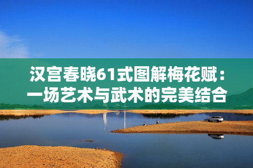 汉宫春晓61式图解梅花赋：一场艺术与武术的完美结合。