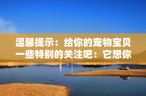 温馨提示：给你的宠物宝贝一些特别的关注吧：它想你了！
