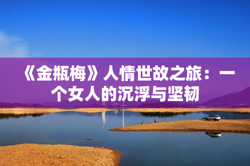 《金瓶梅》人情世故之旅：一个女人的沉浮与坚韧