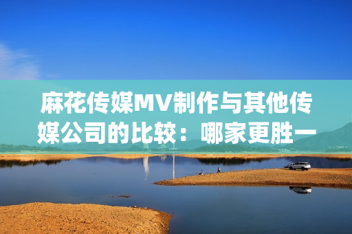 麻花传媒MV制作与其他传媒公司的比较：哪家更胜一筹？(1)