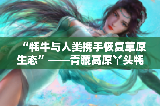“牦牛与人类携手恢复草原生态”——青藏高原丫头牦户的生态实践