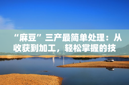 “麻豆”三产最简单处理：从收获到加工，轻松掌握的技巧