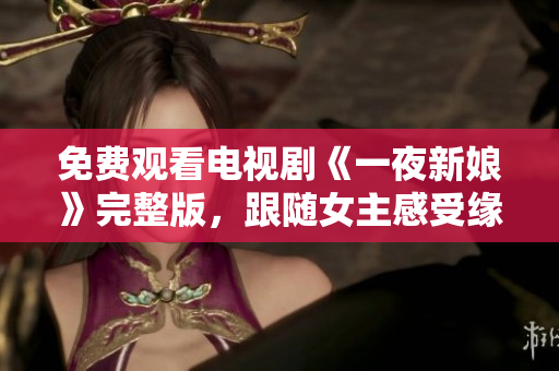 免费观看电视剧《一夜新娘》完整版，跟随女主感受缘分与爱情的碰撞