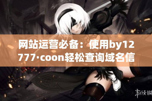 网站运营必备：使用by12777·coon轻松查询域名信息