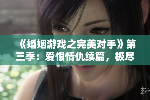《婚姻游戏之完美对手》第三季：爱恨情仇续篇，极尽痴缠和刺激！